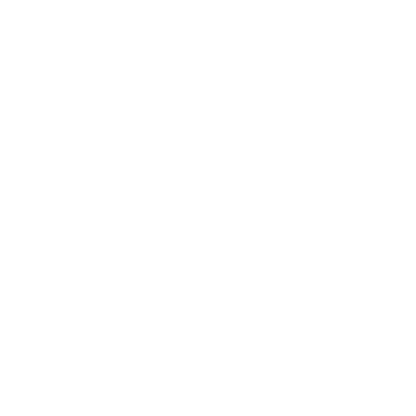Château de Stella puisseguin saint-emilion